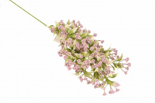 ASC25040 ROŚLINA 80CM_8.jpg