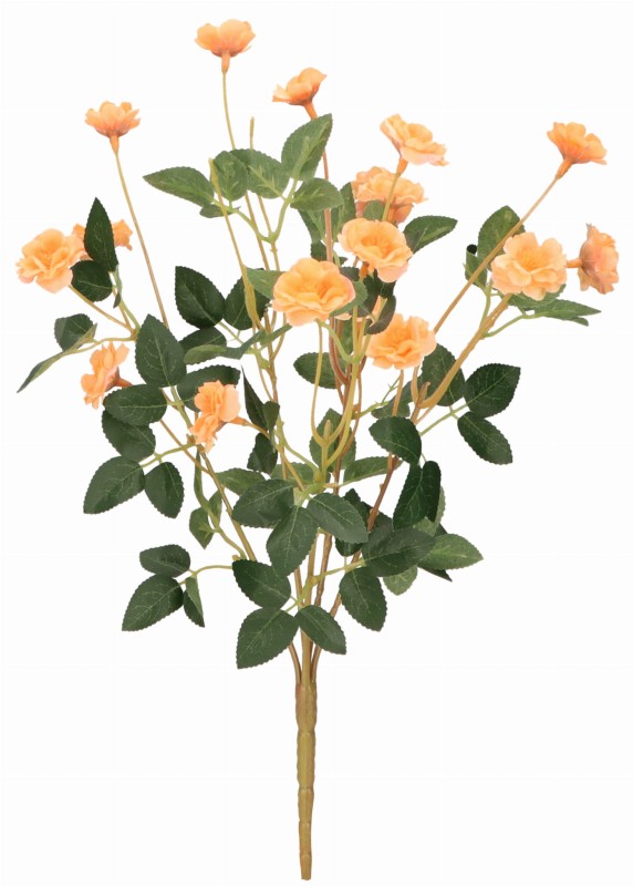 ASC240084 KWIAT 38CM_1.jpg
