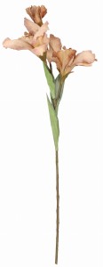 Kanna gałązka 83cm ASC27028-mix 6 kolorów – zdjęcie 6