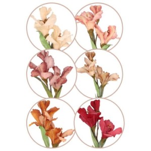 Kanna gałązka 83cm ASC27028-mix 6 kolorów – zdjęcie 2