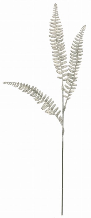 Liście paproci 56cm ASC240122