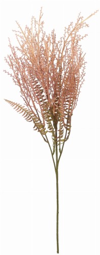 ASC25163 GAŁAZKA 70CM_1.jpg