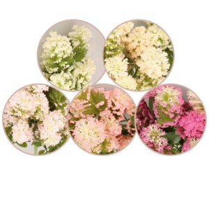 Roślina bukiet 35cm ASC25223-mix 5 kolorów – zdjęcie 2