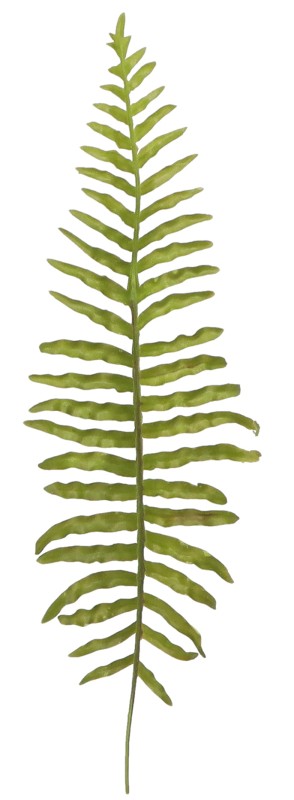 ASC25288 LIŚĆ SZTUCZNY 50CM_1.jpg