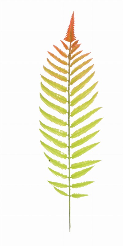 ASC25286 LIŚLĆ SZTUCZNY 47CM_1.jpg