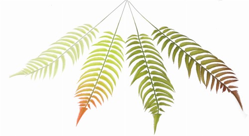 ASC25286 LIŚLĆ SZTUCZNY 47CM_2.jpg