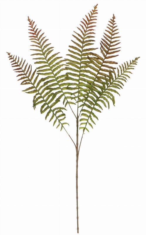 ASC25267 ROŚLINA 75CM_3.jpg