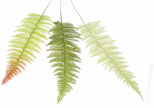 ASC25287 LIŚĆ SZTUCZNY 50CM_2.jpg