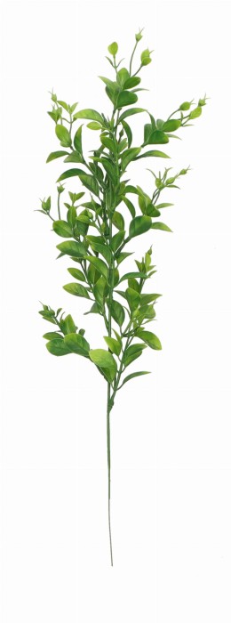 Roślina zielona pik 50cm ASC25215