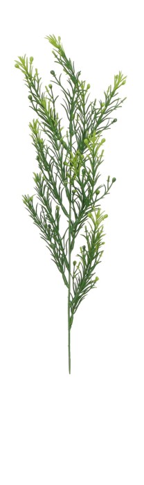 Roślina zielona pik 50cm ASC25218