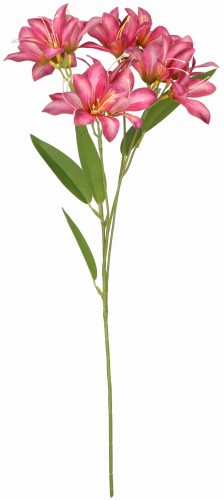 ASC25528 KWIAT 53CM_1.jpg