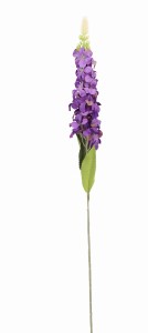 Lewkonia gałązka 74cm ASC24795 – zdjęcie 5