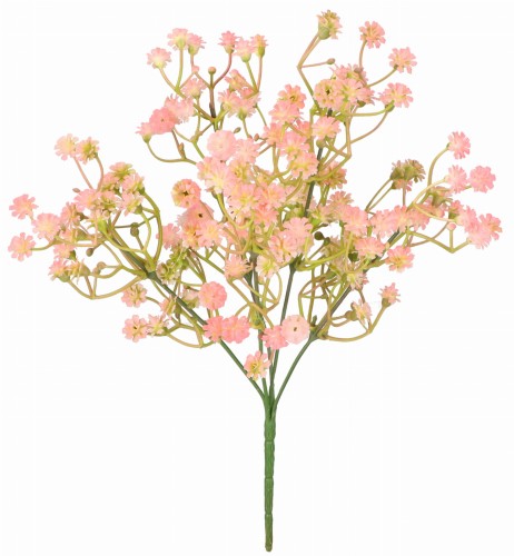 AST231810-4 ROŚLINA.jpg