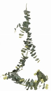 Eukaliptus girlanda 190cm ASC25083-mix 2 kolorów
