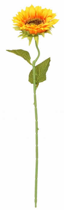Słonecznik pojedynczy gałązka 50cm ASC240568
