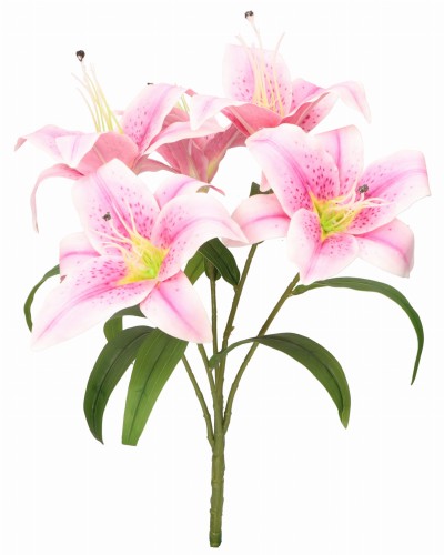 ASC24761-5 KWIAT 28CM_1.jpg