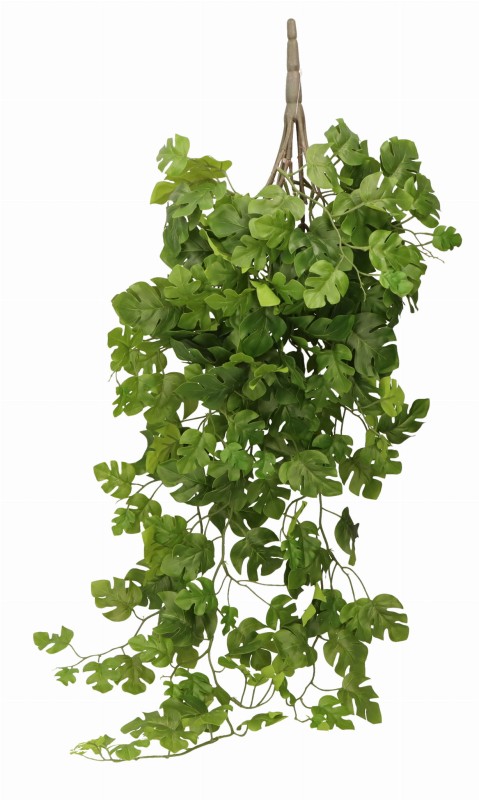 ASC25120 ROŚLINA 105CM_1.jpg