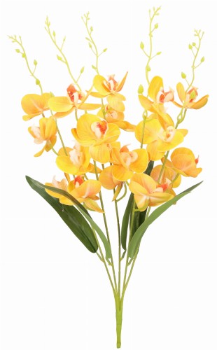 ASC240643 KWIAT 57CM_1.jpg