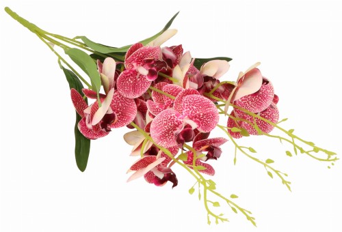 ASC240643 KWIAT 57CM_6.jpg