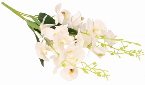 ASC240643 KWIAT 57CM_10.jpg