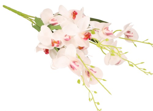 ASC240643 KWIAT 57CM_11.jpg