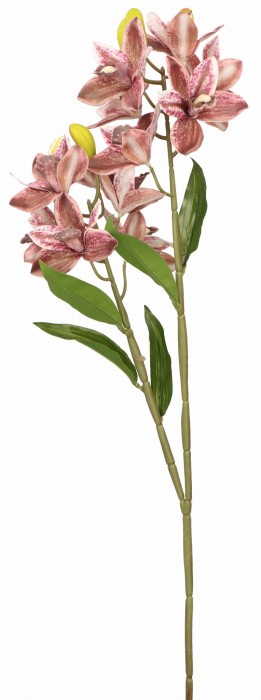 Cymbidium gałązka 67cm ASC25342-mix 6 kolorów