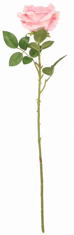 ASC240804 KWIAT 70CM_1.jpg