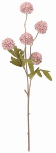 Czosnek gałązka 52cm ASC240192-mix 10 kolorów – zdjęcie 4