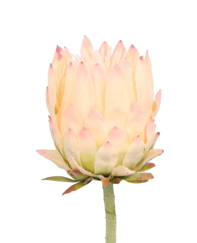 ASC25756 KWIAT 63CM_6.jpg