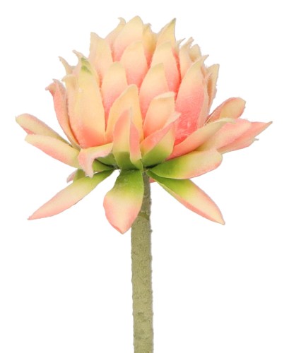 ASC25755 KWIAT 60CM_6.jpg
