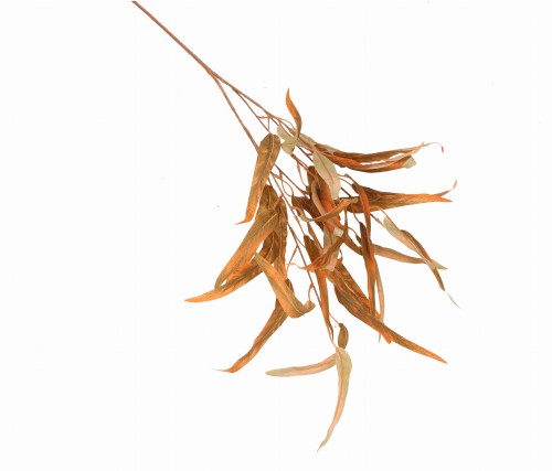 ASC25751 ROŚLINA SZTUCZNA 90 CM_2.jpg