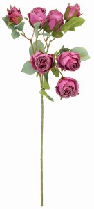 Róża podsuszana gałązka 70cm ASC25753-mix 6 kolorów