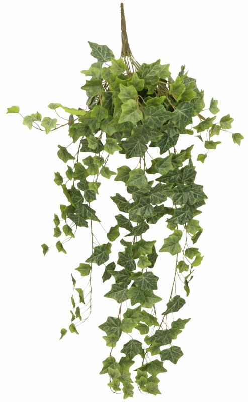 ASC25830 ROŚLINA 90CM_1.jpg