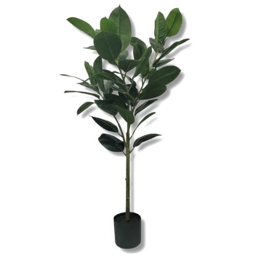 ASC27694 FIKUS 125CM .jpg
