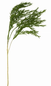 Gałązka zielona 114cm ASC27062