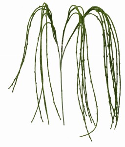 Gałązka zielona 120cm ASC27059