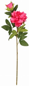 Piwonia gałązka 67cm ASC24759-mix 6 kolorów