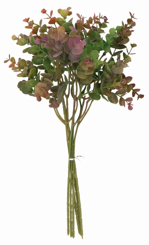 Eukaliptus bukiet/wiązka 38cm ASC25465