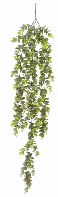 Roślina zwisająca Eukaliptus 80cm ASC25481