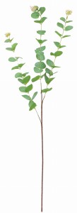 Eukaliptus gałązka 86cm ASC25073