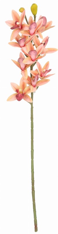 ASC240208 KWIAT 73CM_1.jpg