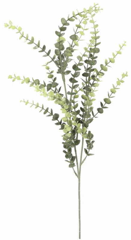 Eukaliptus gałązka 75cm ASC24254-mix 4 kolorów