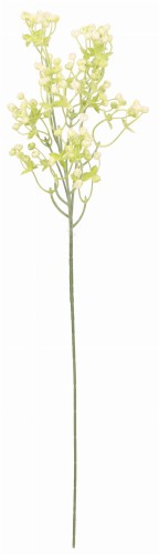 ASC24160 ROŚLINA GIPSÓWKA 65CM_1.jpg