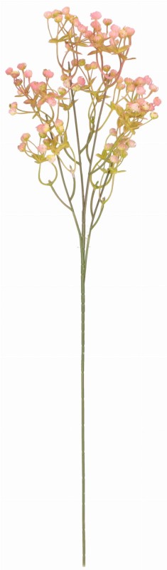 ASC24160 ROŚLINA GIPSÓWKA 65CM_2.jpg