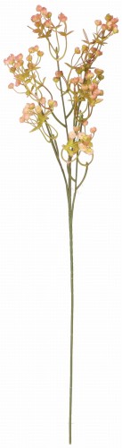 ASC24160 ROŚLINA GIPSÓWKA 65CM_4.jpg