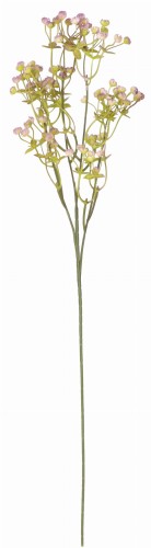 ASC24160 ROŚLINA GIPSÓWKA 65CM_6.jpg