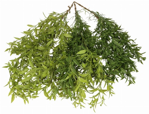 ASC27426 ROŚLINA SZTUCZNA 105CM_4.jpg