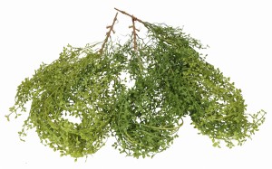 Roślina zwisająca 110cm ASC27420-mix 3 kolorów – zdjęcie 4