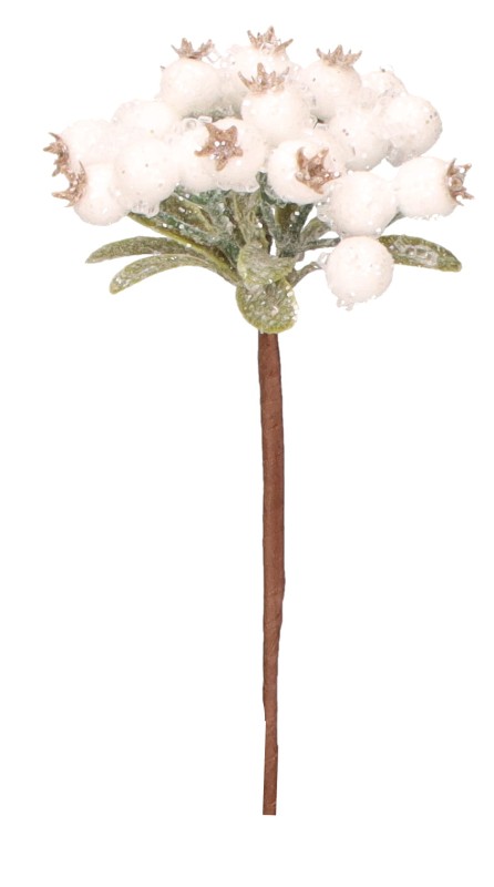 ASC26280 GAŁĄZKA ŚWIĄTECZNA 23CM_1.jpg