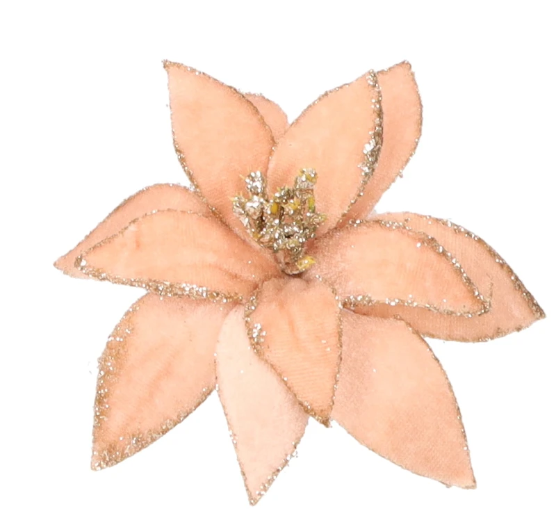 Gwiazda betlejemska na klipsie śr. 13cm. ASC26492